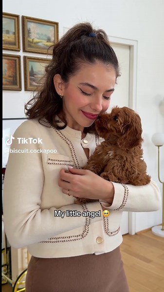 My little angel 🥹🫶🏻🐶 #cockapoolove #cockapoooftiktok #cockapoo #cockapoopuppy #dogmom