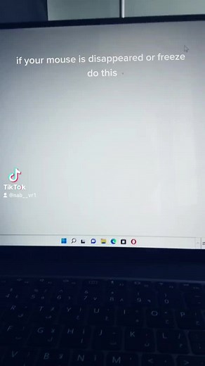 Fixing Disappearing Cursor Issue in Windows