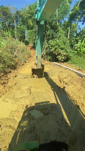 Hướng dẫn lót cây qua đầm lầy cho máy xúc