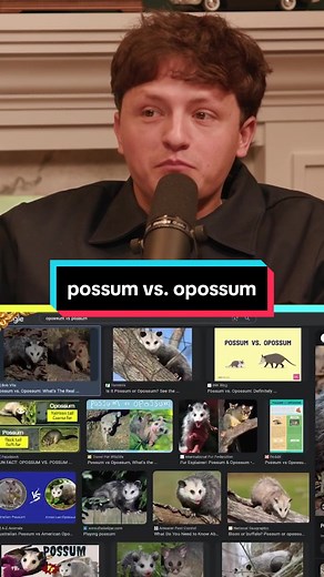 Opossum vs. Possum: What's the Difference?