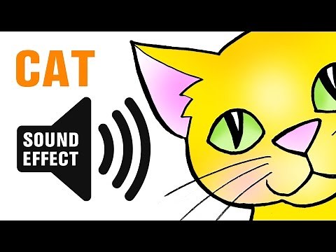 Cat Sound Effect - Meow