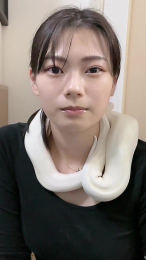 Interacting with a Beautiful White Ball Python