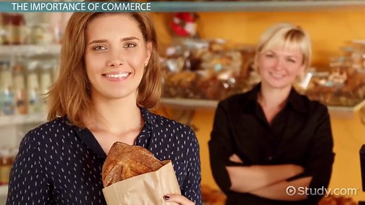 Commerce | Importance, Branches & Examples