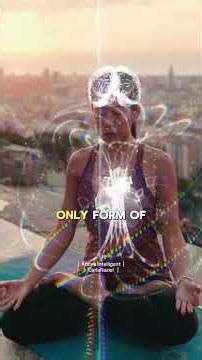 3D Scans Finally Reveal the Heart’s Hidden Neural Network