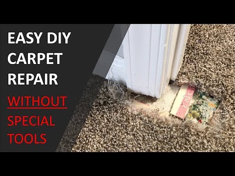 You can repair carpet DIY without professional tools