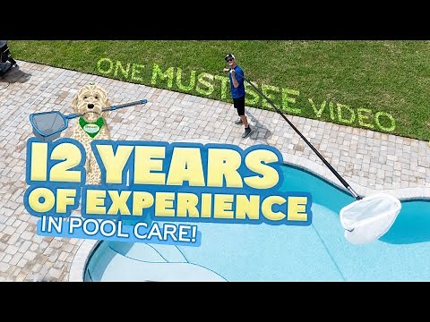 How To Clean Pool Start to Finish: Explained Step by Step- Vacuum, Net, Brush, Valves, Chemistry