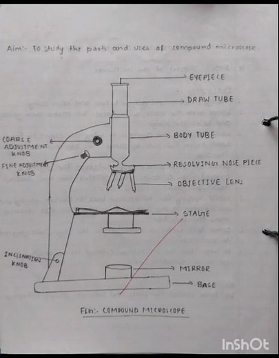 parts of compound microscope and their functions/parts and uses of microscope//#practical #bpharma