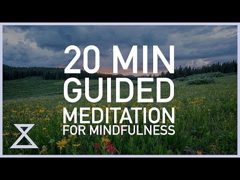 20 Minute Guided Meditation for Mindfulness