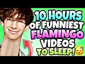 🌟10 HOURS🌟 Of Flamingo Roblox - Funniest Videos (Flamingo Marathon)