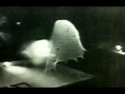 UFO Or Angel Caught In Florida Swimming Pool