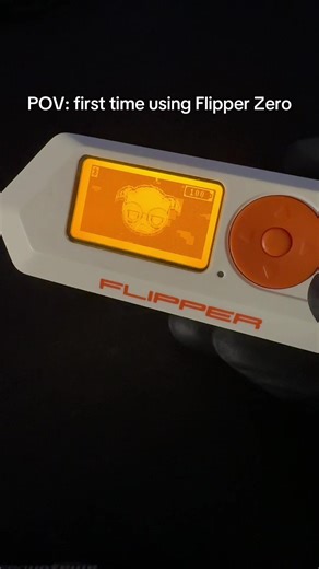 First Time Using Flipper Zero: A Beginner's Guide