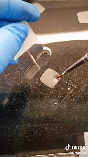 Cutting Tumor into Thin Slices for Cancer Research