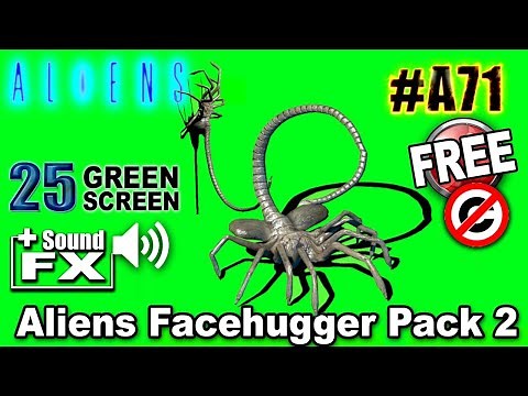 Alien Facehugger Green Screen 3D Pack 2