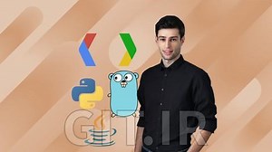 Complete Guide to Protocol Buffers 3 [Java, Golang, Python]