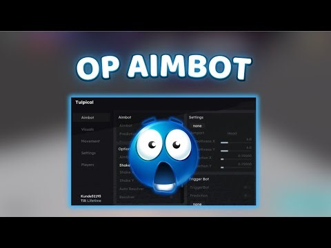 (NEW) ROBLOX UNIVERSAL AIMBOT CHEAT (2024) (UNDETECTED)