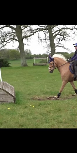 Harlow and popcorn compilation😂⚠️#fyp #harlowlunawhite #harlowandpopcorn #harlowandthemisters