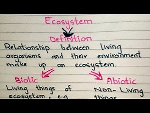 What is Ecosystem ? | Define ecosystem ?