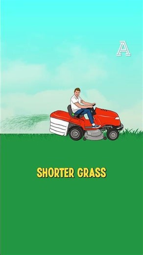 Why do they water football pitches at half time?