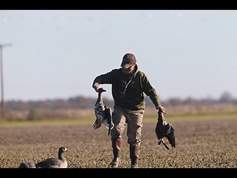 Arkansas Wildlife - S1.E8, Specklebelly Goose Hunting and Recipe