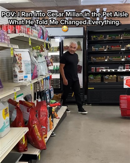 317 reactions · 18 shares | Legendary Dog Behaviorist, Cesar Millan, shares which foods you should AVOID feeding your pet at all costs. If your dog suffers from ⚫️ Weight Gain ⚫️ Loss of Energy ⚫️ Achy Joints ⚫️ Stinky, Mushy Poops ⚫️ Bad Breath ⚫️ Diminished Mental Ability Watch Cesar reveal the TOXIC FOODS to avoid and show how you can help extend your beloved pet’s health span. See for yourself!  https://rebrand.ly/MRTYCM | Cesar Millan | Facebook