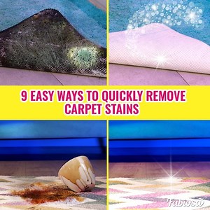 We’ll show you how to remove the most common carpet stains. | Tips & Tricks