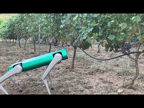 An open source quadruped robot