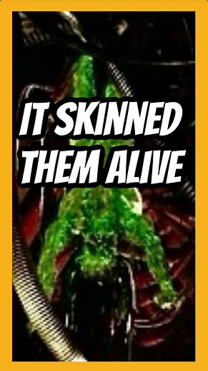 The Predalien #alien #horror #xenomorph #alienvspredator #alienvspredatorrequiem #wolf #yautja #thepredator #aliensvspredator #predalien #predatorbadlands #alienearth #alienearthfx #comics #comic #movies #xenomorphqueen #xenomorphs #avp | Jeremiah Martin