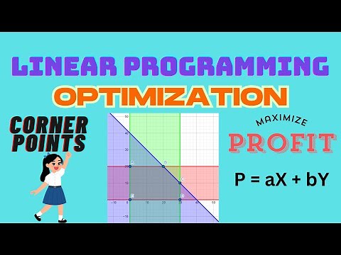 LINEAR PROGRAMMING: THE ULTIMATE GUIDE!