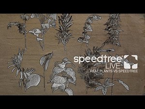 Real Plants vs. SpeedTree