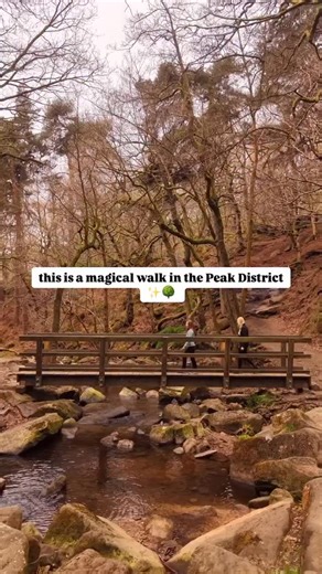 @conorhikes wandering through the enchanting Padley Gorge, where woodland and waterfalls weave together 🌿💧 This deep, mossy gorge in the Peak District feels like a fairytale, with tumbling streams, twisted oaks, and hidden pools around every corner. It’s just as magical on a misty autumn day as it is in the height of summer. 📍 Where: Near Grindleford, Peak District 🥾 Walk option: Easy riverside stroll or longer loop linking to Surprise View 📸 Don’t miss: The moss-covered boulders glowing gr