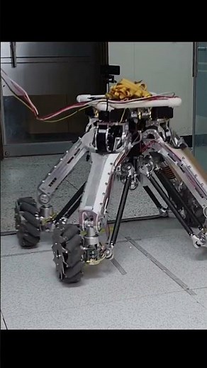 This Smart Omnidirectional Mobile Robot Can Move in ANY Direction! 🌀