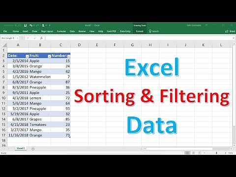 Excel Sorting and Filtering Data