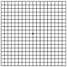 Amsler Grid - Free Printable PDF | Eye Specialist Institute | Gold Coast