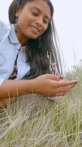 32 reactions | sage grouse fun facts! #grouse | Animalogic | Facebook