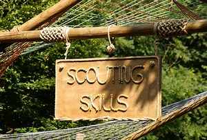 Should designers. . .? New design skills from coding to Agile, process, and more