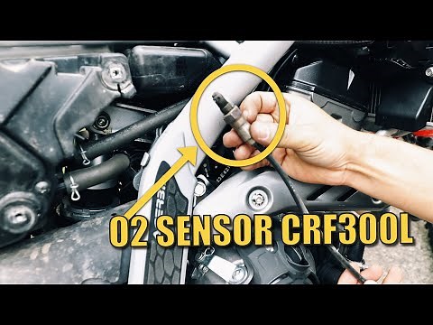 HONDA CRF300L O2 SENSOR