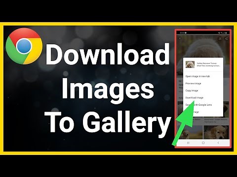 How to Download Files and Documents to a Computer or Mobile