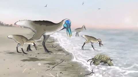 The alien world where birds became everything