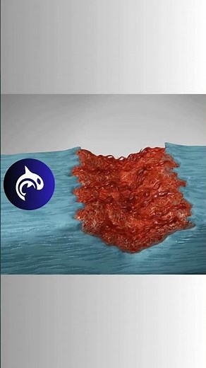 Soft-Tissue Healing Process - 3D Animation. #anatomy #healing #muscle