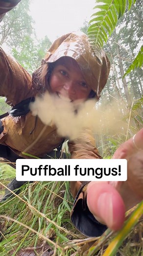 Discover Puffball Fungi and Their Unique Spore Mechanism