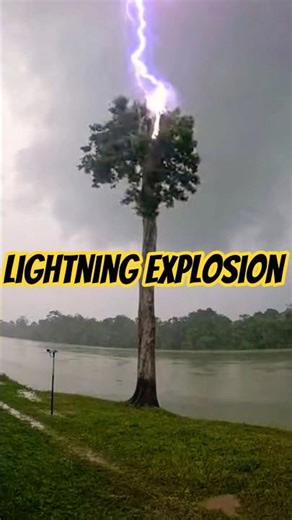 "Tree EXPLODES from Lightning Strike (Slow Motion)" #lightning