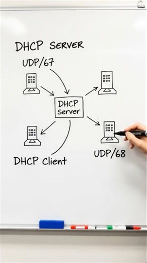 DHCP Server and Client Port Number #DreamScreenAI