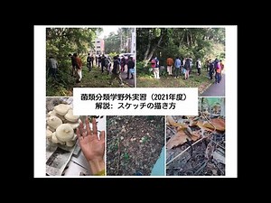 【菌類分類学野外実習】スケッチの描き方