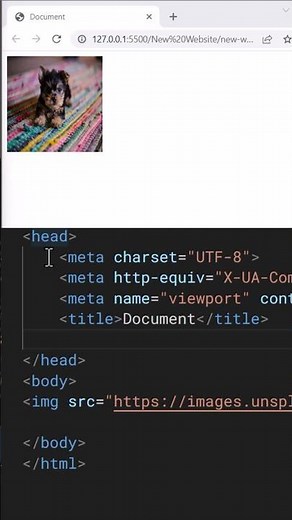 Center align an image in HTML😎| Web development #programming #webdevelopment #html