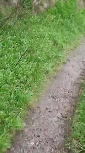 93K views · 727 reactions | Matlock to Matlock bath via Giddy edge and lovers walk by Simon Barcz | Derbyshire and Proud | Facebook