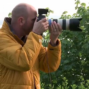 2.9M views · 75 reactions | Speedlights open up a new realm in your photography. This workshop will give you the confidence to incorporate small portable flash in your photography toolkit. | CreativeLive | Facebook