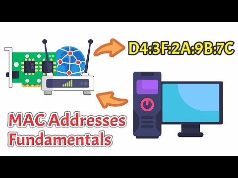 MAC Addresses Explained: Networking Basics