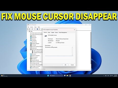 How To Fix “Mouse Cursor Disappeared” in Windows 11 - Quick Fix