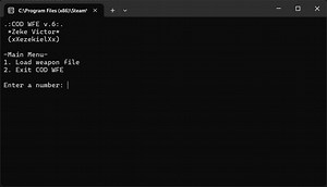 Using CoD Weapons File Editor tutorial - Call of Duty