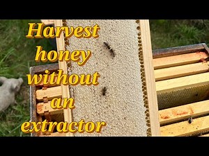 Harvest honey without an extractor: crush and strain